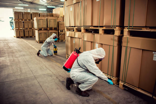 Best Pest Removal Services  in Cottage Grove, WI