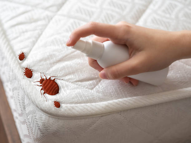Best Flea Control Services  in Cottage Grove, WI