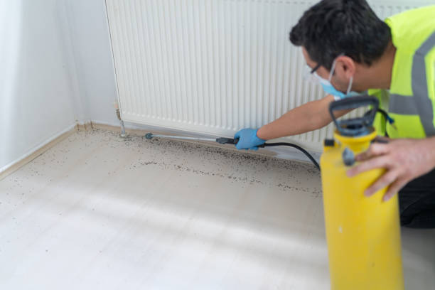 Best Best Pest Control Companies  in Cottage Grove, WI