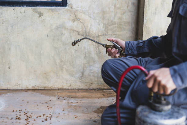 Best Affordable Pest Control Services  in Cottage Grove, WI